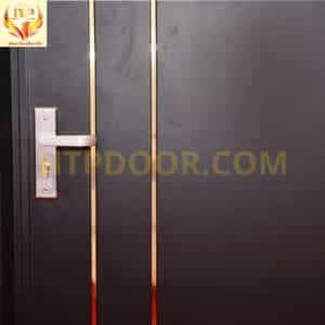 Cửa biệt thự NSF1 1 cánh nẹp inox 1 Cửa biệt thự NSF1 cao cấp 1 cánh